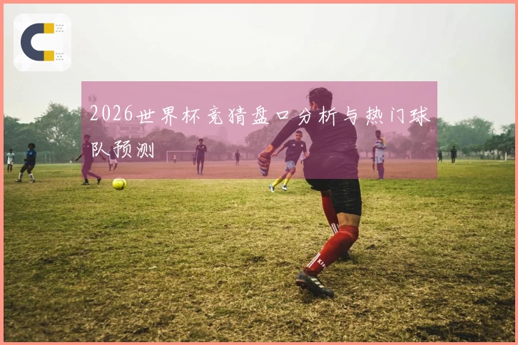 2026世界杯竞猜盘口分析与热门球队预测