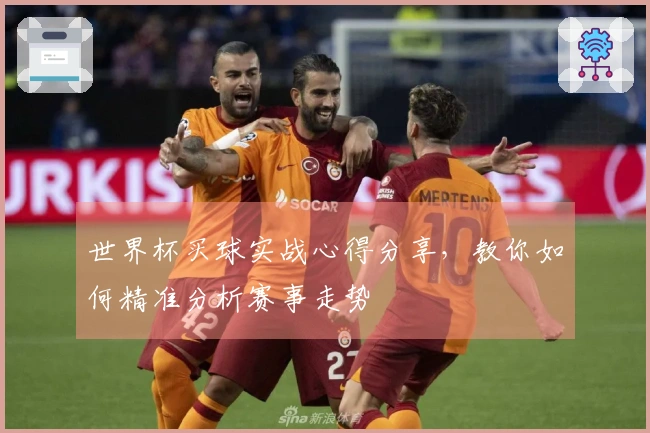 世界杯买球实战心得分享，教你如何精准分析赛事走势