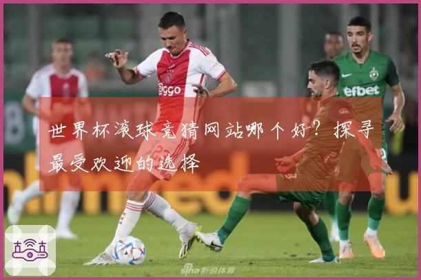 世界杯滚球竞猜网站哪个好？探寻最受欢迎的选择