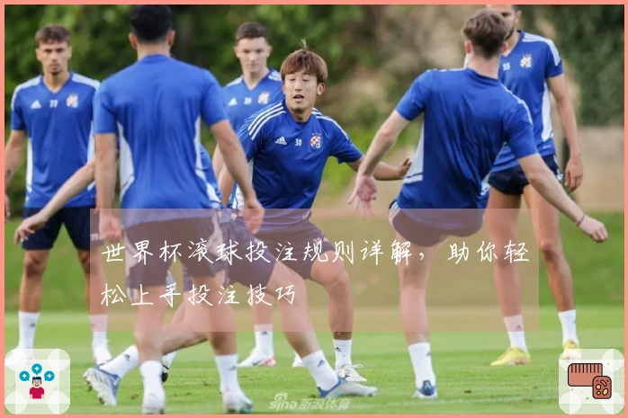 世界杯滚球投注规则详解，助你轻松上手投注技巧