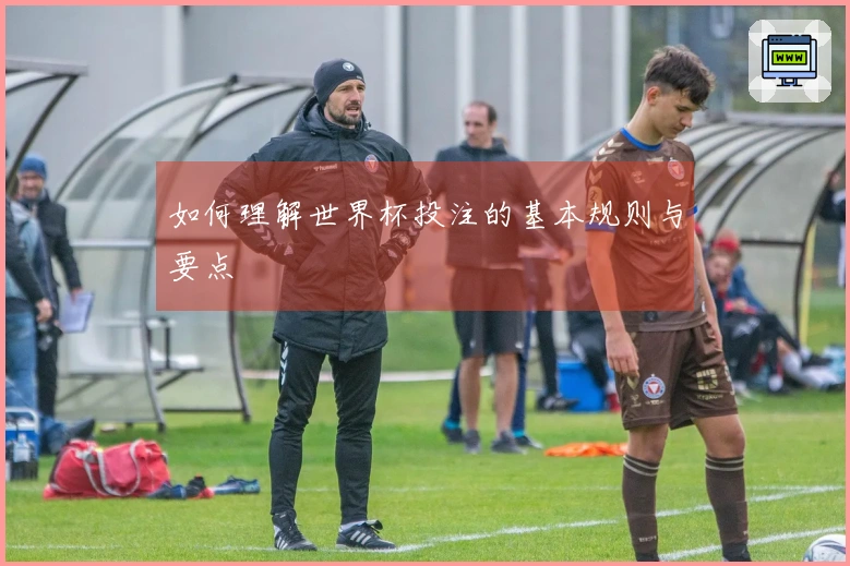 如何理解世界杯投注的基本规则与要点