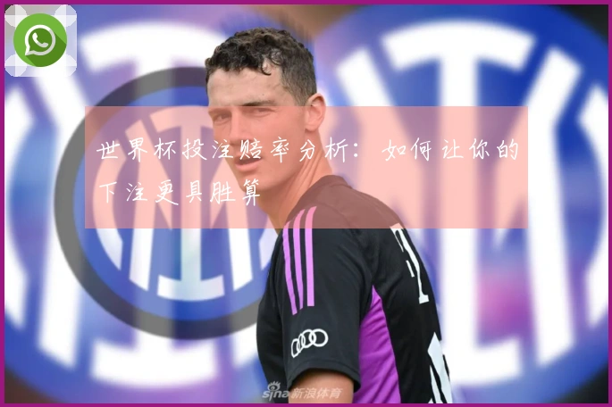 世界杯投注赔率分析：如何让你的下注更具胜算