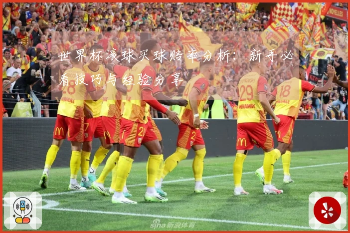 世界杯滚球买球赔率分析：新手必看技巧与经验分享