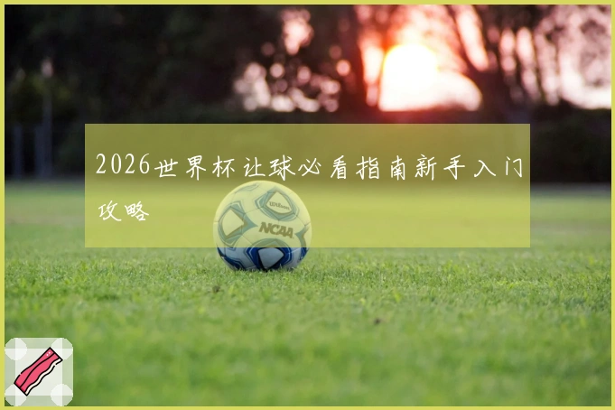 2026世界杯让球必看指南新手入门攻略