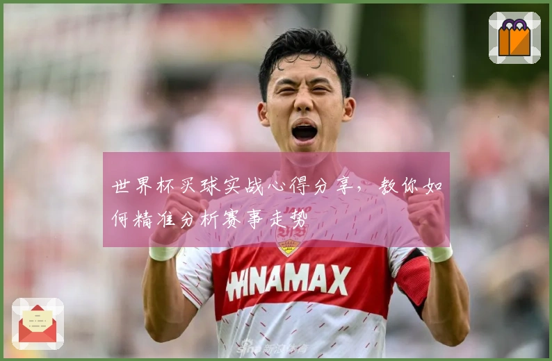 世界杯买球实战心得分享，教你如何精准分析赛事走势