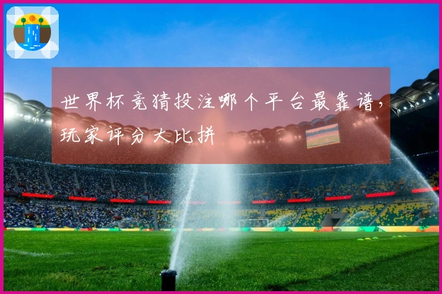 世界杯竞猜投注哪个平台最靠谱，玩家评分大比拼