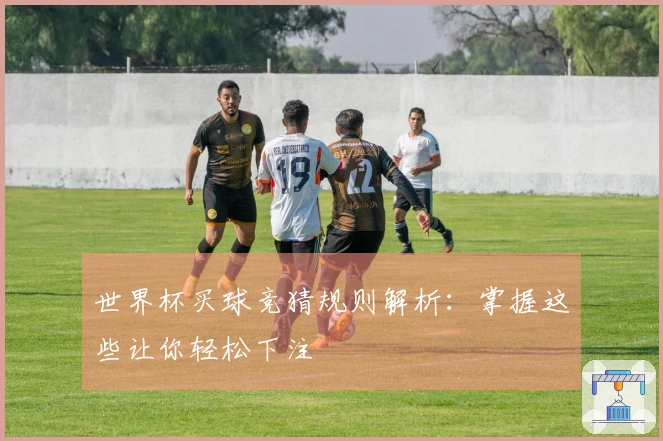 世界杯买球竞猜规则解析：掌握这些让你轻松下注