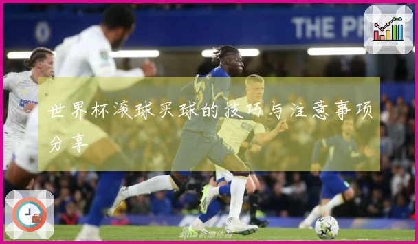 世界杯滚球买球的技巧与注意事项分享