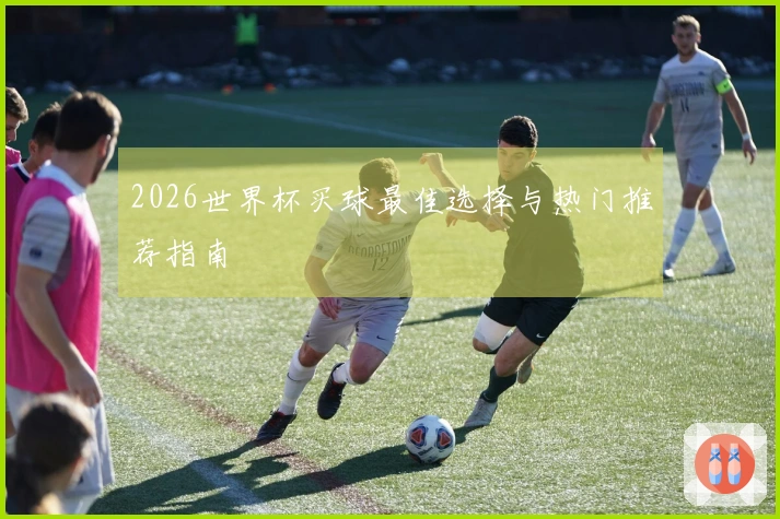 2026世界杯买球最佳选择与热门推荐指南