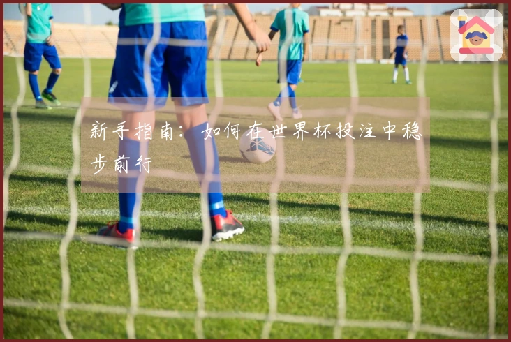 新手指南：如何在世界杯投注中稳步前行